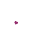 High Risk Pregnancy Delivery